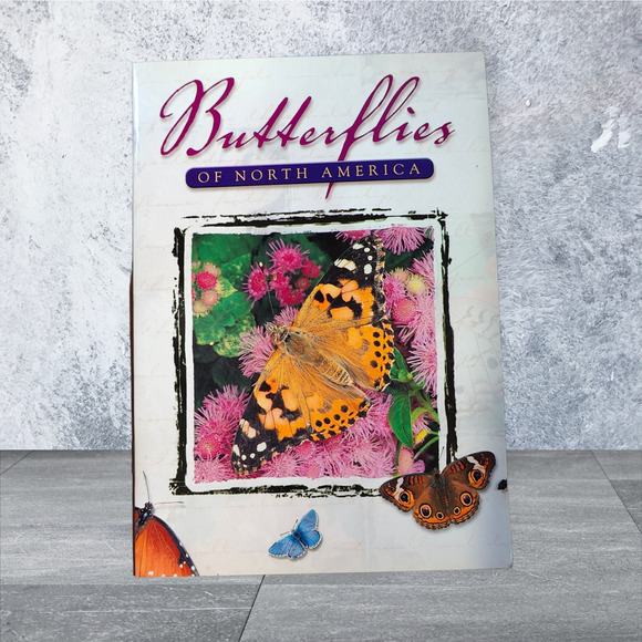 Unknown Other - Butterflies of North America